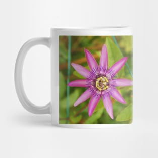 Passiflora Lavender Lady Mug